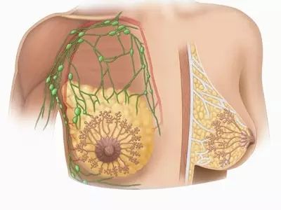 640.webp (2).jpg 640.webp (2).jpg