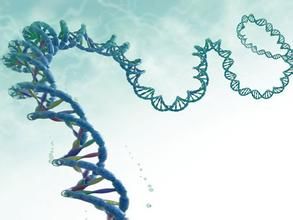 u=10871620,2456893&fm=21&gp=0.jpg u=10871620,2456893&fm=21&gp=0.jpg