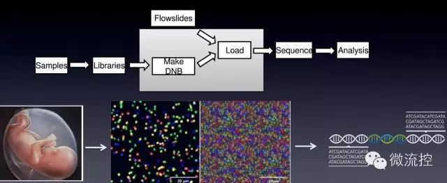 640.webp.jpg 640.webp.jpg