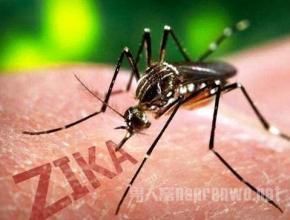 u=2787964542,1387631735&fm=21&gp=0.jpg u=2787964542,1387631735&fm=21&gp=0.jpg