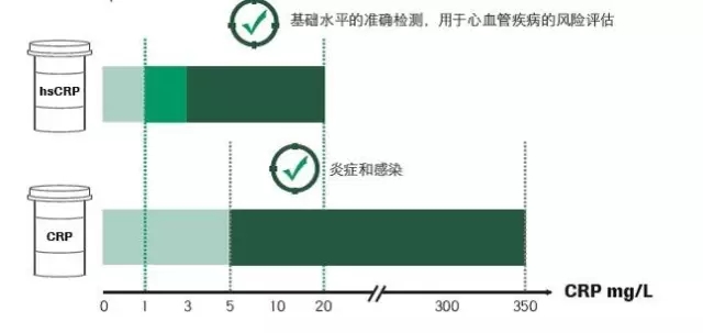 640.webp (3).jpg