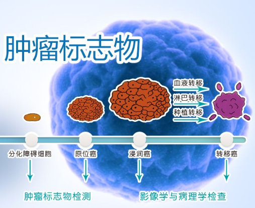 肿瘤标志物.png